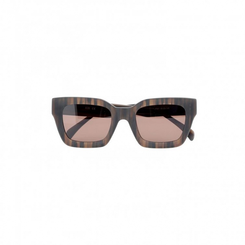 A.S.98 Ronnie Zonnebril Dames Bruin | BE-GCNIZA823